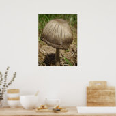 Ghear Inkcap Mushroom Poster (Küche)