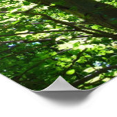 Ghear Sun Tree Poster (Ecke)