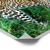 GHEPARD Okavango Delta - Poster (Ecke)