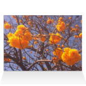 Ghimpapan Tree und Nagas, Chiang Mai (Innenansicht Horizontal (Oben))