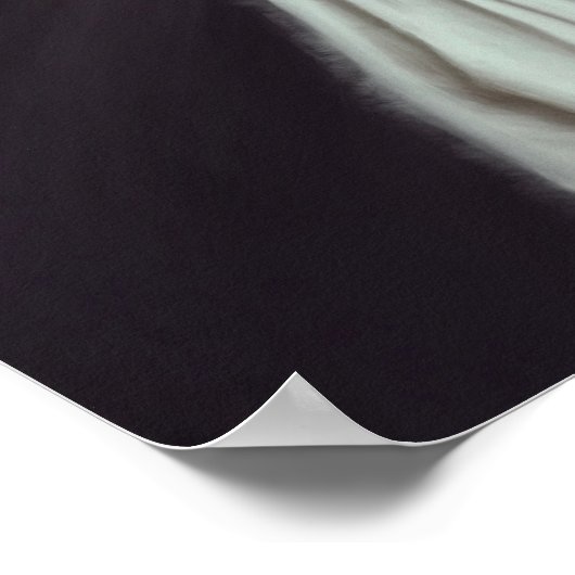 Ghost 16" x 20" Poster (Ecke)