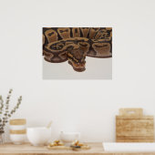 Ghost Ball Python Poster (Küche)