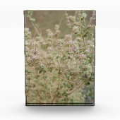 Ghost-Blume Fotoblock (Vorderseite)