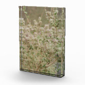 Ghost-Blume Fotoblock (Rechts)