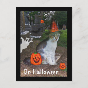 Ghost Cat Postkarte