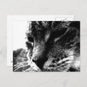 Ghost Cat Postkarte (Vorne/Hinten)