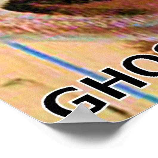 GHOST CHASER POSTER (Ecke)