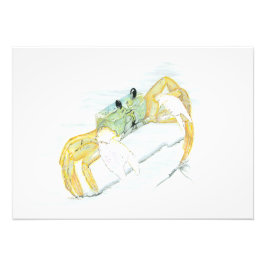 Ghost Crab  Fotodruck