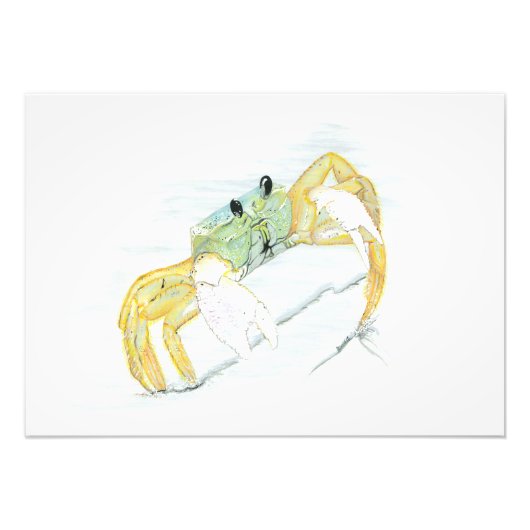Ghost Crab  Fotodruck (Vorne)