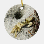 Ghost Crab OBX North Carolina Fotografie Keramik Ornament (Vorne)