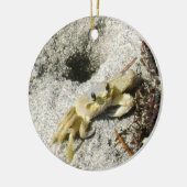 Ghost Crab OBX North Carolina Fotografie Keramik Ornament (Links)