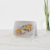 Ghost Crab oder Sand Crab Dankeskarte (Vorderseite)