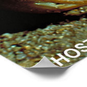 Ghost Crab Poster (Ecke)