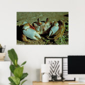 Ghost Crab Poster (Heimbüro)
