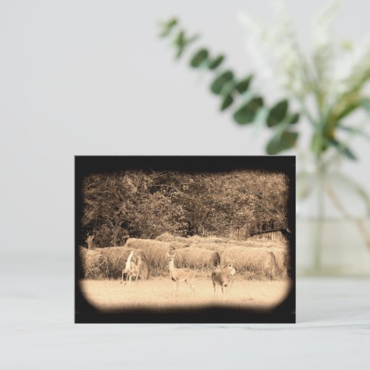 Ghost Deer Postkarte (Stehend Vorderseite)
