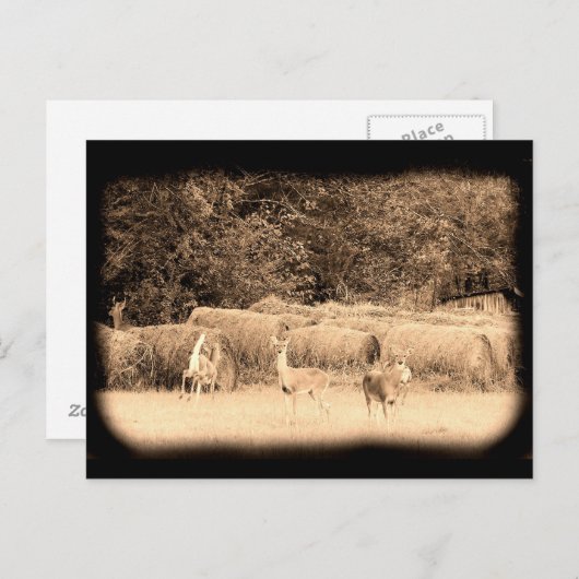 Ghost Deer Postkarte (Vorne/Hinten)