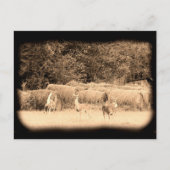 Ghost Deer Postkarte (Vorderseite)