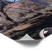 Ghost Gum in Alice Poster (Ecke)