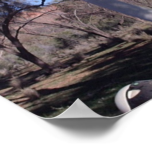 Ghost Gum in Alice Poster (Ecke)