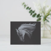 Ghost Horse Collection Postkarte (Stehend Vorderseite)