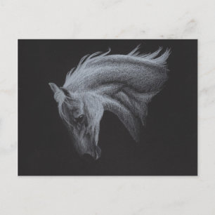 Ghost Horse Collection Postkarte