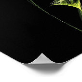 Ghost Horse Poster (Ecke)