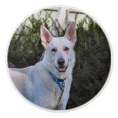 Ghost Keramikknauf (Vorderseite)