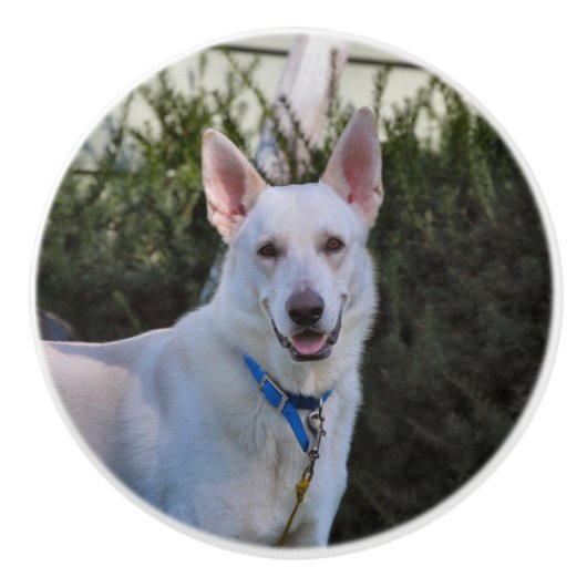 Ghost Keramikknauf (Vorderseite)