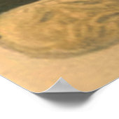 Ghost Kürbislaterne Black Cat Elves Poster (Ecke)