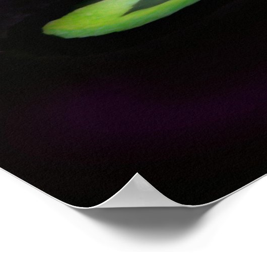 Ghost Moon Poster (Ecke)