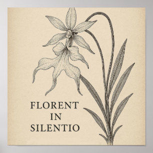 Ghost Orchid Elegante - Botanisches Zitat-Poster Poster