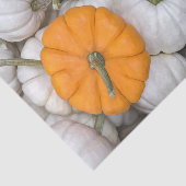 Ghost Pumpkins mit einer sneakfarbenen Orange Seidenpapier (Ausschnitt)