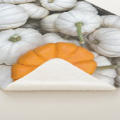 Ghost Pumpkins mit einer sneakfarbenen Orange Sherpadecke (3/4)