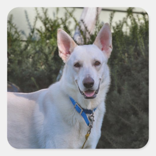 Ghost Quadratischer Aufkleber (Vorderseite)