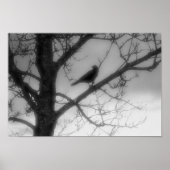 Ghost Raven Poster (Vorne)