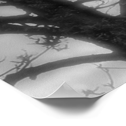 Ghost Raven Poster (Ecke)