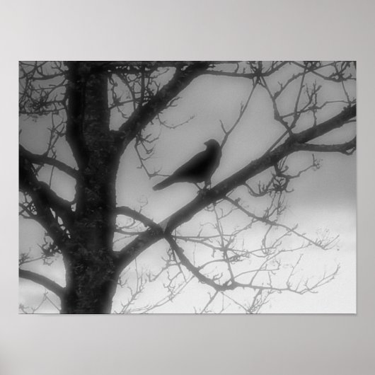Ghost Raven Poster (Vorne)