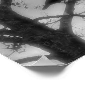 Ghost Raven Poster (Ecke)