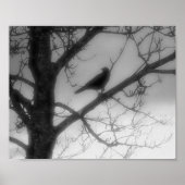 Ghost Raven Poster (Vorne)