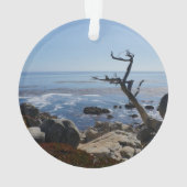 Ghost Tree - Landschaftliches 17-Meilen-Laufwerk Ornament (Rückseite)
