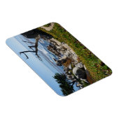 Ghost Tree - Landschaftliches 17-Mile-Laufwerk #2  Magnet (Rechte Seite)