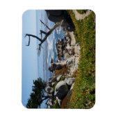 Ghost Tree - Landschaftliches 17-Mile-Laufwerk #2  Magnet (Vertikal)