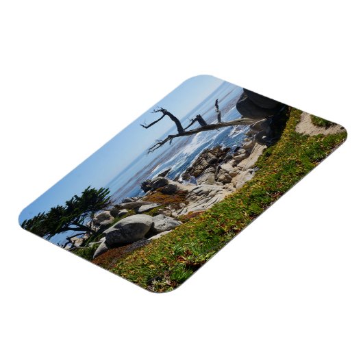 Ghost Tree - Landschaftliches 17-Mile-Laufwerk #2  Magnet (Linke Seite)