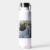 Ghost Trinkflasche (Vorne)