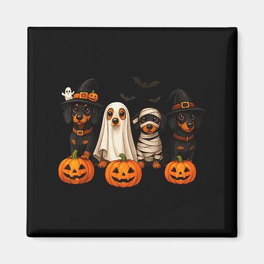 Ghost Witch Mummy Pumpkin Dachshund Dog Costume Ha Magnet (Vorne)