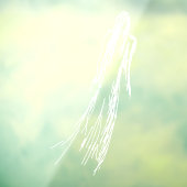 Ghosted Woman Fensteraufkleber (Blatt 3)