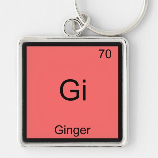 Gi - Ginger Funny Chemistry Element Symbol T - Shi Schlüsselanhänger (Vorne)