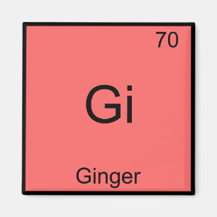 Gi-Ginger Funny Chemistry Element Symbol T - Shirt Magnet