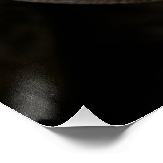 Giant Aldabra Tortoise Jigsaw Puzzle Poster (Ecke)