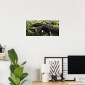 Giant Anteater Poster Print (Heimbüro)